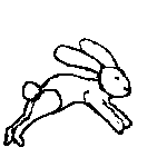 Rabbit Jumping
